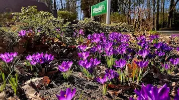 Freitag ist Probiertag