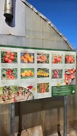 Neue Schilder für Umweltbildung