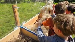 Neuer Pfad für Entdecker
